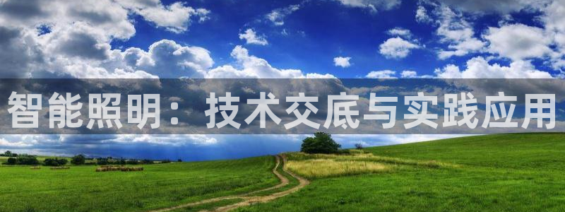 智能照明：技术交底与实践应用