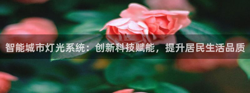 智能城市灯光系统：创新科技赋能，提升居民生活品质