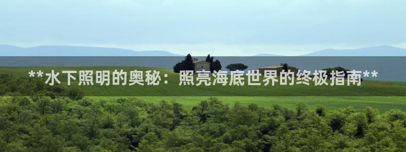 **水下照明的奥秘：照亮海底世界的终极指南**