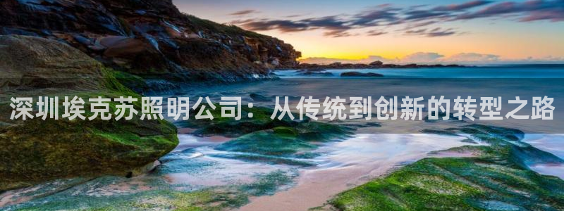 深圳埃克苏照明公司：从传统到创新的转型之路