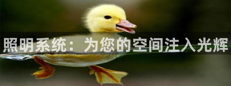 照明系统：为您的空间注入光辉