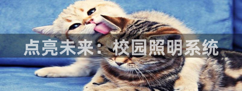 点亮未来：校园照明系统