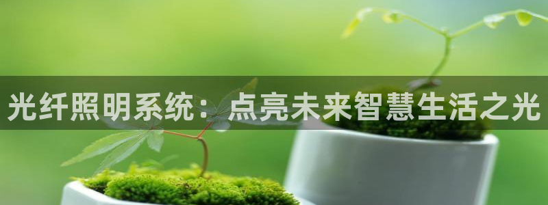 光纤照明系统：点亮未来智慧生活之光