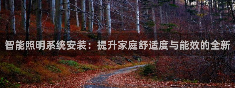 智能照明系统安装：提升家庭舒适度与能效的全新