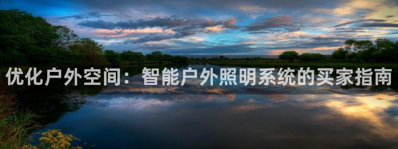 优化户外空间：智能户外照明系统的买家指南