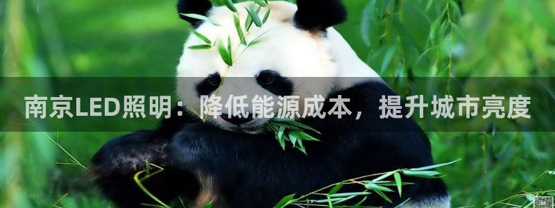 南京LED照明：降低能源成本，提升城市亮