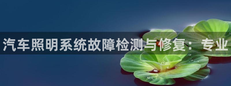 汽车照明系统故障检测与修复：专业