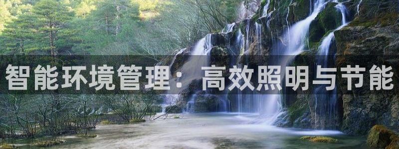 智能环境管理：高效照明与节能
