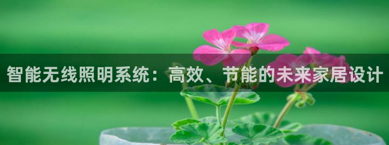 智能无线照明系统：高效、节能的未来家居设