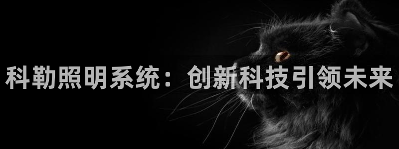 科勒照明系统：创新科技引领未来