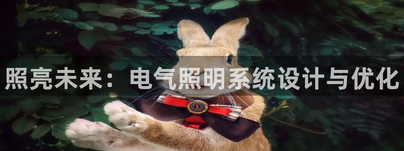 照亮未来：电气照明系统设计与优化