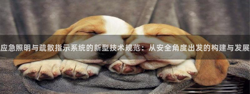 应急照明与疏散指示系统的新型技术规范：从安全角度出发的构建与发展