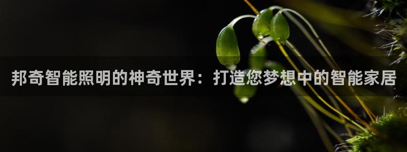 邦奇智能照明的神奇世界：打造您梦想中的智