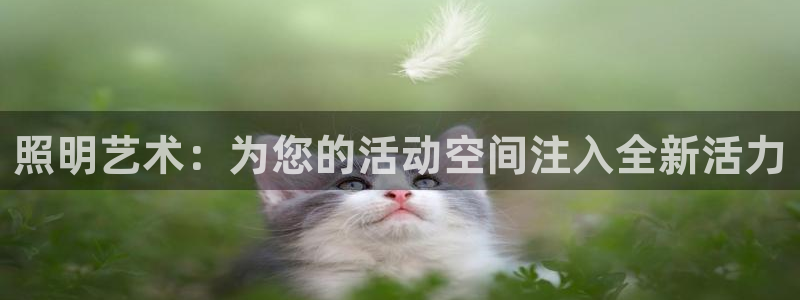 照明艺术：为您的活动空间注入全新活力