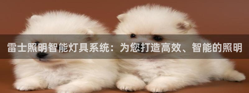 雷士照明智能灯具系统：为您打造高效、智能