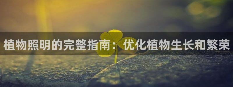植物照明的完整指南：优化植物生长和繁荣