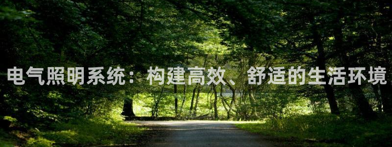 电气照明系统：构建高效、舒适的生活环境