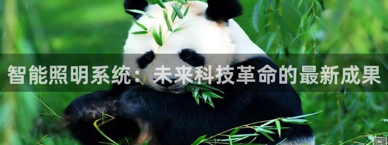 智能照明系统：未来科技革命的最新成果