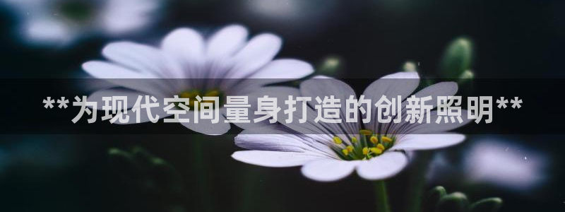 **为现代空间量身打造的创新照明**