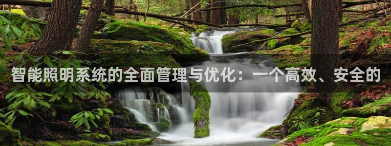 智能照明系统的全面管理与优化：一个高效、安全的