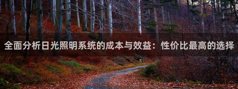 全面分析日光照明系统的成本与效益：性价比最高的选择