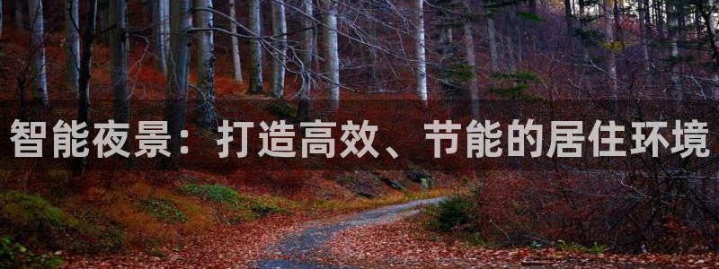 智能夜景：打造高效、节能的居住环境