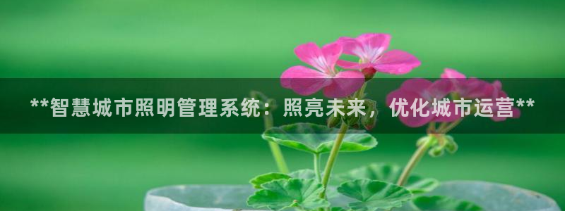**智慧城市照明管理系统：照亮未来，优化城市运营**