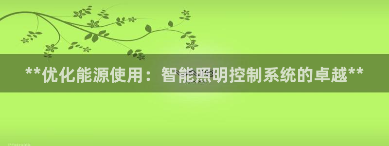 **优化能源使用：智能照明控制系统的卓越**