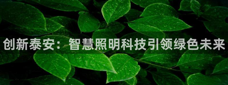 创新泰安：智慧照明科技引领绿色未来