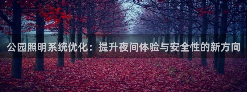 公园照明系统优化：提升夜间体验与安全性的新方向