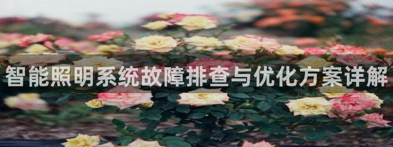 智能照明系统故障排查与优化方案详解