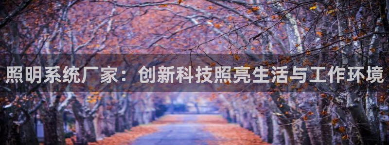 照明系统厂家：创新科技照亮生活与工作环境